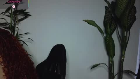 Bri  online show from 03-29-26, 11:16