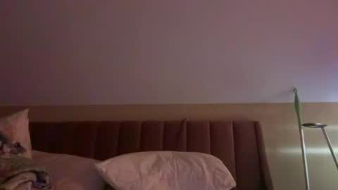 Snapshot of brickmiester2015 chatting on 06-14-26, 09:33 brickmiester2015 online show from 06-14-26, 09:33