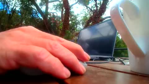 Snapshot of bridie3079 chatting on 02-19-26, 01:01 Fun Monster online show from 02-19-26, 01:01