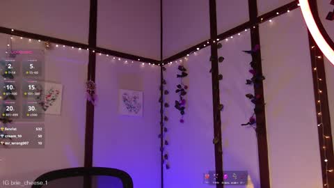 Brie  Ill be away November 2829 and 30. See u on Sunday for more fun online show from 02-12-25, 08:07