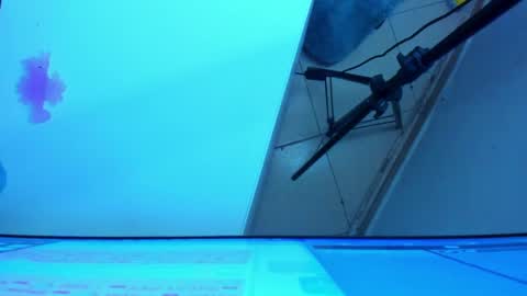 Snapshot of britanny_jones1 chatting on 05-21-26, 01:56 B R I T A N N Y online show from 05-21-26, 01:56