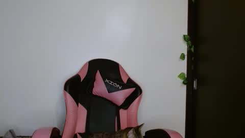 Snapshot of brittany_bubbles chatting on 02-20-26, 04:20 maru miaw Please help me to reach 100 thumbs up online show from 02-20-26, 04:20