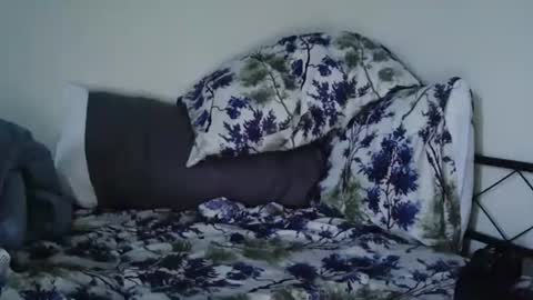 Bruc12168 fit slim new makemecum bigdick edging online show from 02-20-25, 12:04