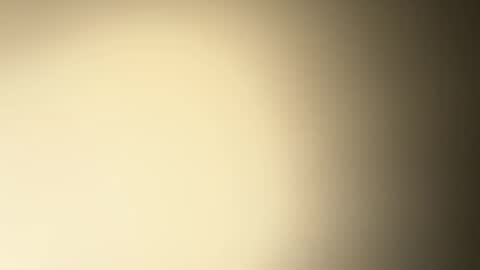 BRUCE online show from 12-26-24, 02:33