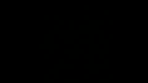 BryN online show from 12-08-24, 12:29