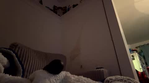 bubblya online show from 02-20-26, 06:19