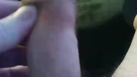 bullemoe online show from 01-09-25, 07:42