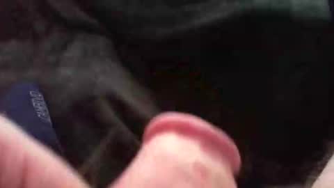 bullemoe online show from 11-09-25, 11:41