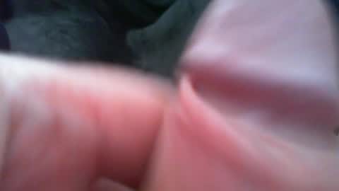 bullemoe online show from 02-07-26, 12:42