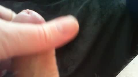 bullemoe online show from 03-24-26, 10:09