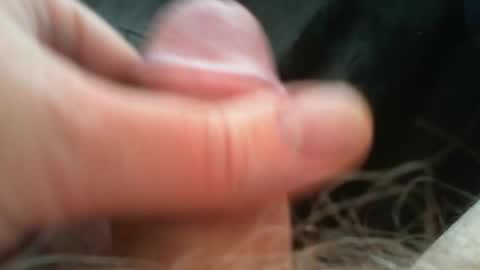 bullemoe online show from 04-26-26, 11:08