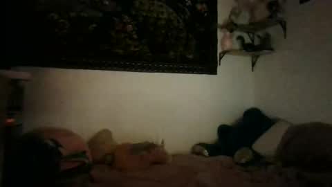 Snapshot of bunn13cat chatting on 03-17-26, 12:52 bunn13cat online show from 03-17-26, 12:52