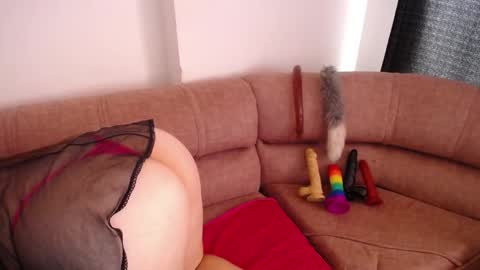 Snapshot of bunny_hoot chatting on 02-24-25, 07:30 NINA online show from 02-24-25, 07:30