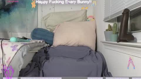 Tokki  bunny  online show from 12-04-24, 11:24