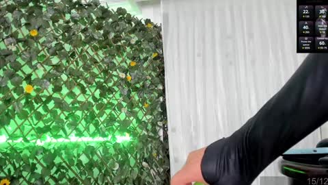 Angela Santini online show from 12-22-24, 08:49