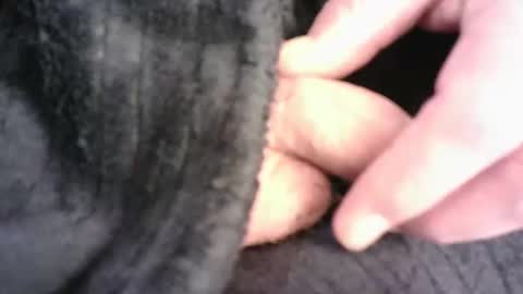 Snapshot of burnside13 chatting on 03-16-26, 07:29 Hamish online show from 03-16-26, 07:29