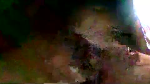 burro3000 online show from 12-13-24, 04:43