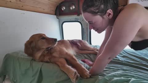 busbuddies online show from 02-02-25, 04:54