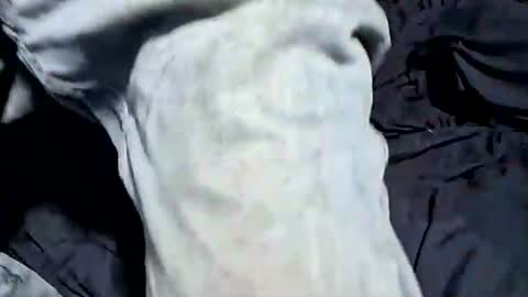 Snapshot of buster18hymen chatting on 10-21-25, 07:36 Buster18Hymen online show from 10-21-25, 07:36