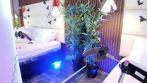 CailynBrown online show from 10-26-25, 05:02