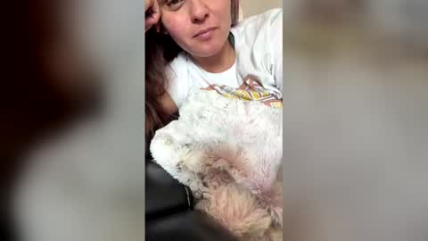 calishop1 online show from 03-12-26, 11:22