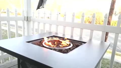 Chillaxin lets talk  online show from 12-25-24, 02:23