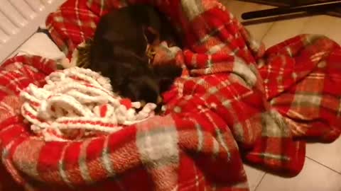 Snapshot of camdoattitude chatting on 01-28-25, 08:58 CamDoAttitude online show from 01-28-25, 08:58