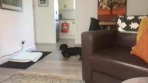 Snapshot of camdoattitude chatting on 09-23-25, 11:46 CamDoAttitude online show from 09-23-25, 11:46