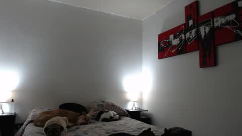 Snapshot of camila_bigcock_ts chatting on 03-12-25, 07:24 camila online show from 03-12-25, 07:24