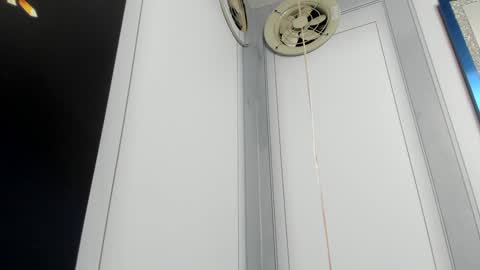 Camila  online show from 12-24-24, 10:11