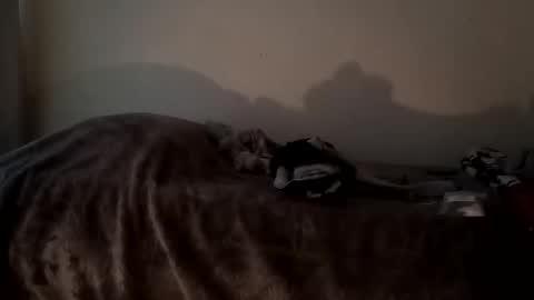 Camren online show from 10-07-25, 02:47