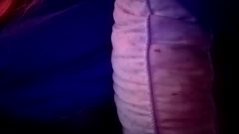 Snapshot of candismiths chatting on 11-16-25, 02:06 Candi online show from 11-16-25, 02:06