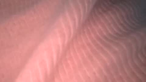 Snapshot of cappinrc8 chatting on 05-21-26, 12:50 cappinrc8 online show from 05-21-26, 12:50