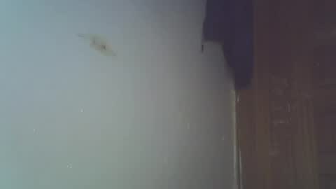 Snapshot of capt_ain chatting on 06-22-26, 03:08 Captain online show from 06-22-26, 03:08