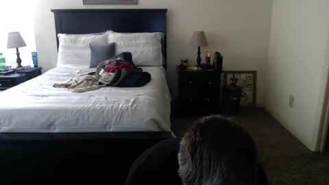 captmorgan30263 online show from 02-26-25, 09:27