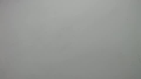 Snapshot of carla_perverted chatting on 02-19-25, 03:05 carla online show from 02-19-25, 03:05