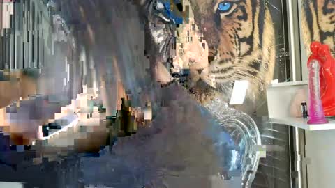 Carolay online show from 04-14-26, 03:45