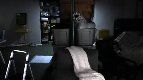 Carl online show from 02-04-25, 08:02
