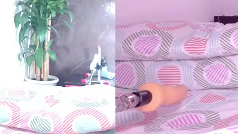 Carol online show from 04-10-26, 11:04