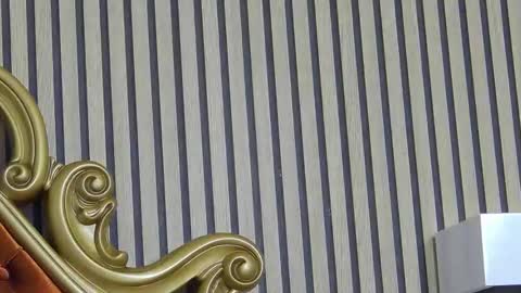 carolinahart online show from 03-24-26, 06:51