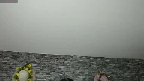 Camelia online show from 11-04-25, 03:16