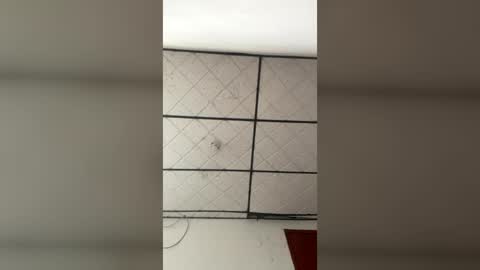 Caroline online show from 07-11-26, 11:57