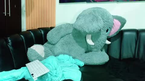 Snapshot of carolinejesh chatting on 06-28-26, 12:27 carolinejesh online show from 06-28-26, 12:27