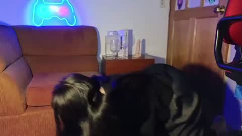 kitty online show from 12-07-24, 05:15