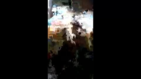 Snapshot of carrilloeverardo219 chatting on 03-23-26, 11:31 carrilloeverardo219 online show from 03-23-26, 11:31