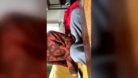 Snapshot of carrrigggg chatting on 03-03-26, 09:15 carrrigggg online show from 03-03-26, 09:15