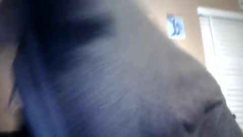 carsonlueders8775 online show from 01-13-25, 01:56