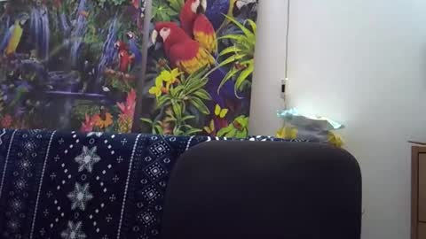 Cassandra online show from 12-05-25, 01:42