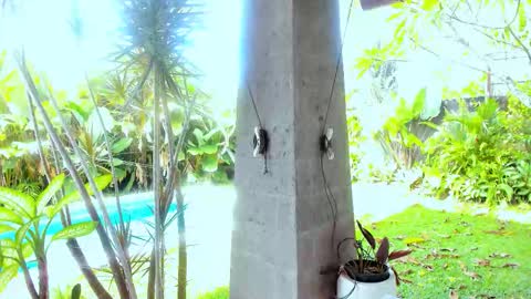 Snapshot of cassie_palmer chatting on 02-18-26, 01:12 Hello my name is Cassie and my friend Nilo is also here online show from 02-18-26, 01:12