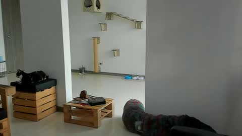 Snapshot of cassjimenez chatting on 03-22-26, 11:57 Cassandra online show from 03-22-26, 11:57